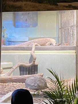 名古屋市東山動植物園に投稿された画像（2024/11/30）