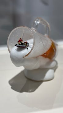 MINIATURE LIFE展 ー田中達也 見立ての世界ー　in　門司港レトロに投稿された画像（2024/11/30）