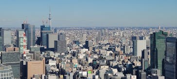 東京タワーに投稿された画像（2024/11/30）