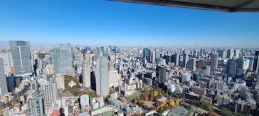 東京タワーに投稿された画像（2024/11/30）