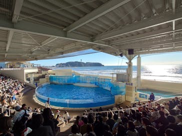 新江ノ島水族館に投稿された画像（2024/11/30）