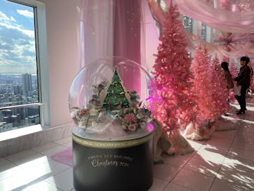 梅田スカイビル・空中庭園展望台に投稿された画像（2024/11/30）