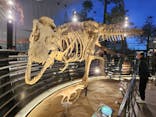 福井県立恐竜博物館に投稿された画像（2024/11/30）