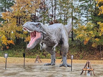 福井県立恐竜博物館に投稿された画像（2024/11/30）