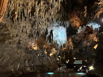 CAVE OKINAWAに投稿された画像（2024/11/30）