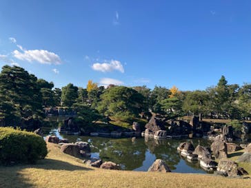 元離宮二条城に投稿された画像（2024/11/30）