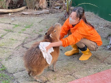 竹島水族館に投稿された画像（2024/11/30）