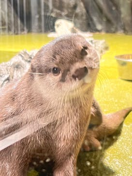 竹島水族館に投稿された画像（2024/11/30）