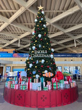 新江ノ島水族館に投稿された画像（2024/11/30）