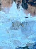 天王寺動物園に投稿された画像（2024/11/30）