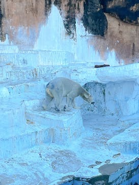 天王寺動物園に投稿された画像（2024/11/30）