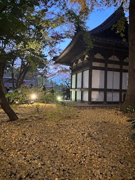 三溪園に投稿された画像（2024/11/30）