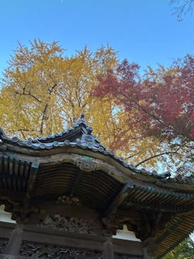 三溪園に投稿された画像（2024/11/30）