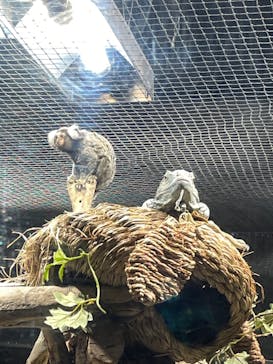 カワスイ 川崎⽔族館に投稿された画像（2024/11/30）