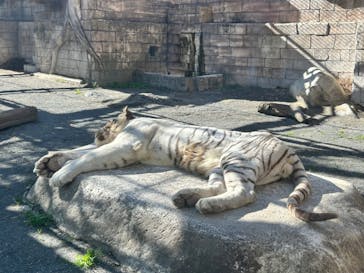 東武動物公園に投稿された画像（2024/11/30）