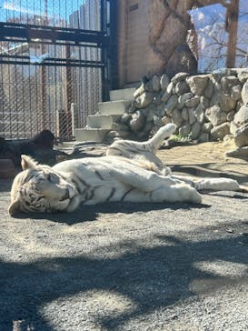 東武動物公園に投稿された画像（2024/11/30）