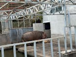 宇都宮動物園に投稿された画像（2024/11/30）
