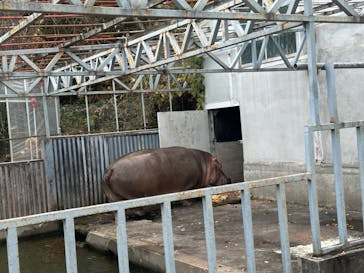 宇都宮動物園に投稿された画像（2024/11/30）