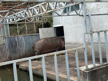 宇都宮動物園に投稿された画像（2024/11/30）