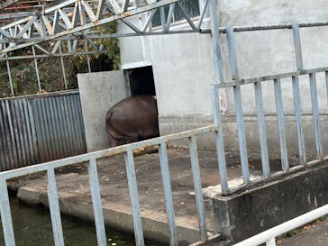 宇都宮動物園に投稿された画像（2024/11/30）