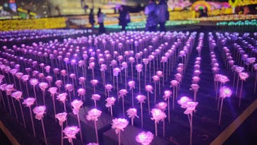 東京メガイルミに投稿された画像（2024/11/30）