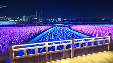 東京メガイルミに投稿された画像（2024/11/30）