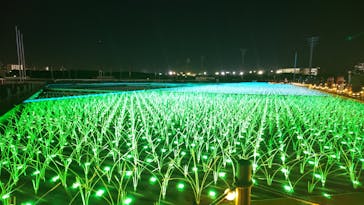 東京メガイルミに投稿された画像（2024/11/30）