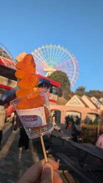 ひらかたパークに投稿された画像（2024/11/30）