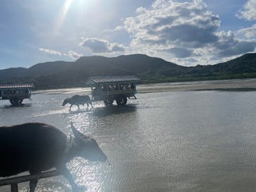 西表島 ADVENTURE PiPi（アドベンチャーピピ）に投稿された画像（2024/11/30）