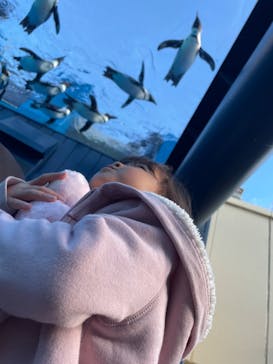 サンシャイン水族館に投稿された画像（2024/11/30）