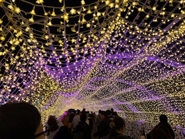 東京メガイルミに投稿された画像（2024/11/30）