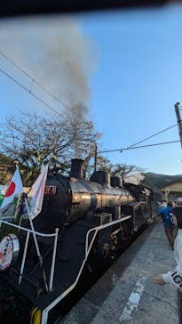 大井川鐵道株式会社に投稿された画像（2024/11/30）