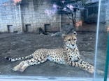 多摩動物公園に投稿された画像（2024/11/30）