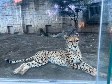多摩動物公園に投稿された画像（2024/11/30）
