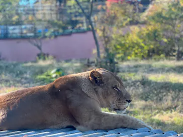 多摩動物公園に投稿された画像（2024/11/30）