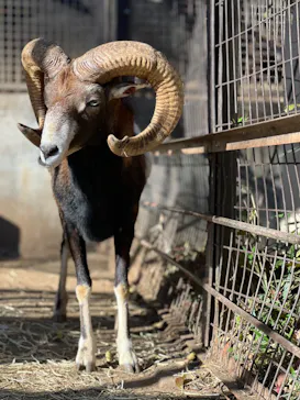 多摩動物公園に投稿された画像（2024/11/30）