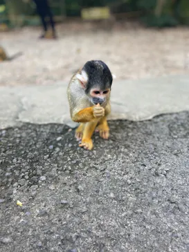 石垣やいま村に投稿された画像（2024/11/30）