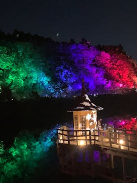 ムーミンバレーパークに投稿された画像（2024/11/30）