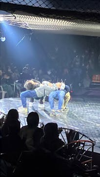 ハッピードリームサーカス湘南・平塚公演に投稿された画像（2024/11/30）