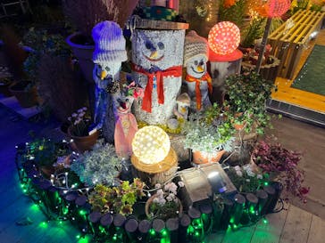 とっとり花回廊に投稿された画像（2024/11/30）