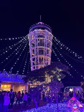 江の島シーキャンドルに投稿された画像（2024/11/30）