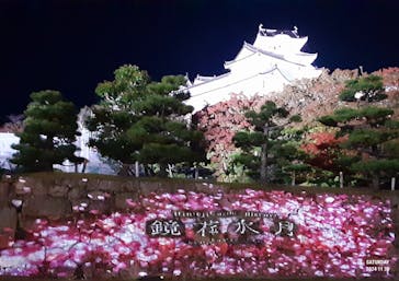 姫路城ライトアップイベント　鏡花水月　@姫路城三の丸広場に投稿された画像（2024/11/30）