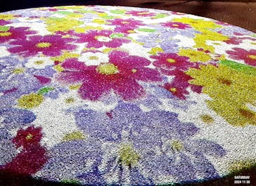 姫路城ライトアップイベント　鏡花水月　@姫路城三の丸広場に投稿された画像（2024/11/30）