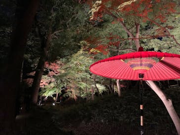 六義園に投稿された画像（2024/11/30）