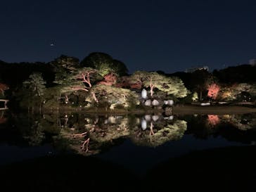 六義園に投稿された画像（2024/11/30）