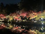 名古屋市東山動植物園に投稿された画像（2024/11/30）