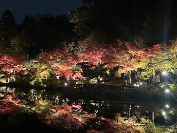 名古屋市東山動植物園に投稿された画像（2024/11/30）