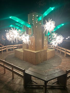 名古屋市東山動植物園に投稿された画像（2024/11/30）