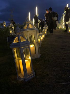 世羅高原農場に投稿された画像（2024/11/30）