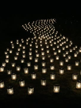 世羅高原農場に投稿された画像（2024/11/30）